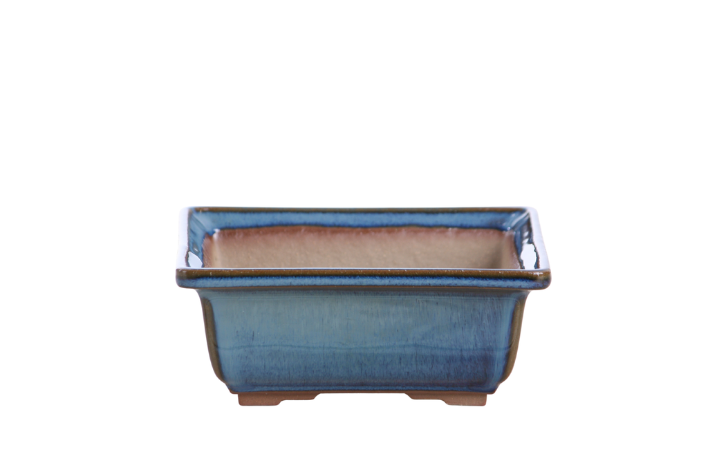 Willow Bonsai Ceramics Square Bonsai Pot 5.5 Inch – Low‑Profile Square Ceramic Bonsai & Succulent Planter with Accentuated Rim, High‑Fired Frost‑Proof Stoneware, Handmade in USA (Peacock 2025)