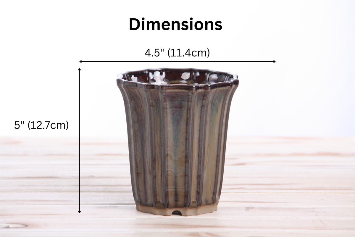 Willow Bonsai Ceramics Flower Design Cascade Bonsai Pot 4.5 Inch – Elegant Tall Ceramic Bonsai & Succulent Planter, High‑Fired Frost‑Proof Stoneware with Drainage & Wiring Holes, Handmade in USA (Dark Honey)