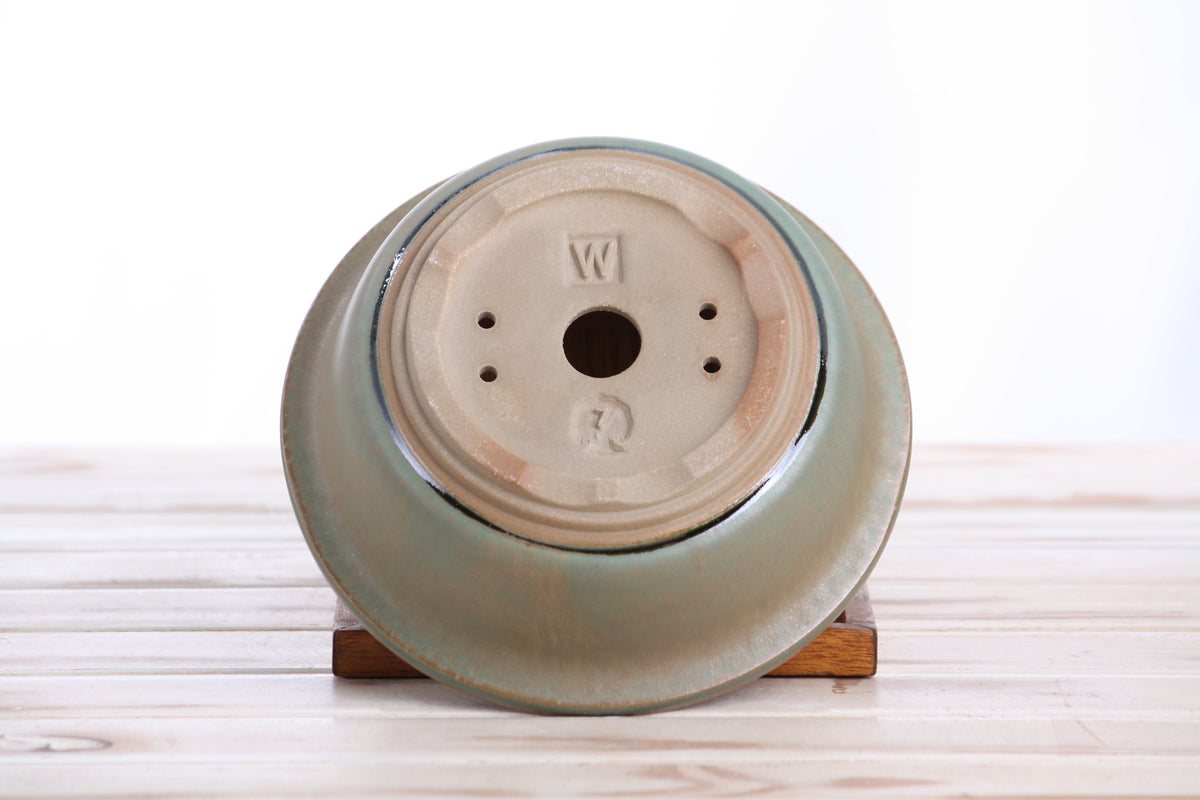 Willow Bonsai Ceramics Round Bonsai Pot 7 Inch – Round Ceramic Bonsai & Succulent Planter with Accentuated Rim and Sculpted Foot Ring, High‑Fired Frost‑Proof Stoneware, Handmade in USA (Speckled Moss)