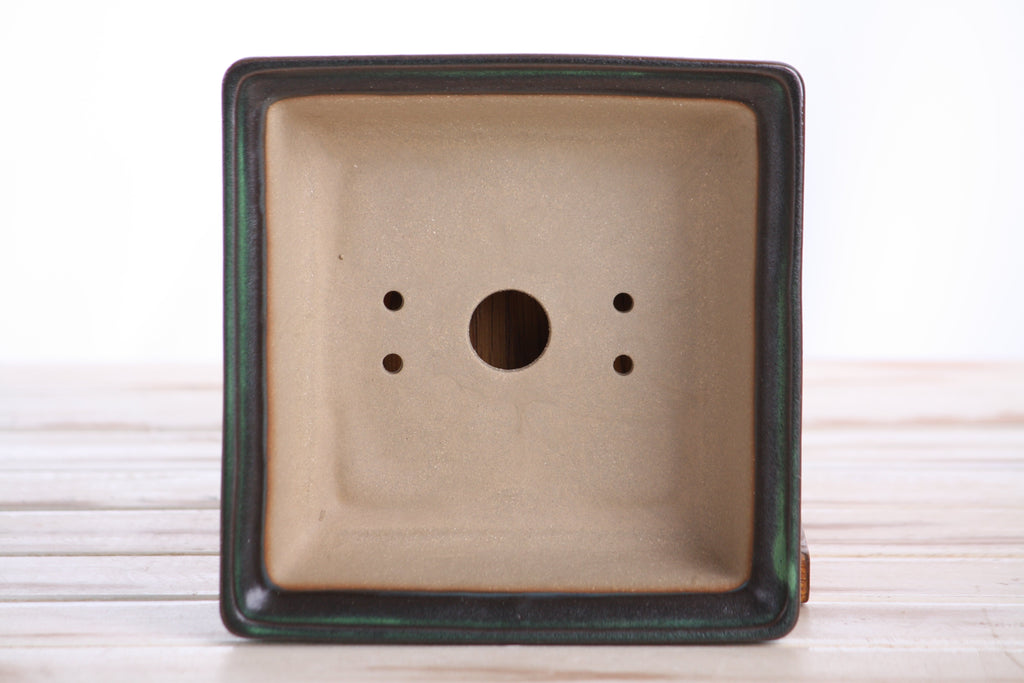 Willow Bonsai Ceramics Square Bonsai Pot 6 Inch – Low‑Profile Square Ceramic Bonsai & Succulent Planter with Accentuated Rim, High‑Fired Frost‑Proof Stoneware, Handmade in USA (Avocado)