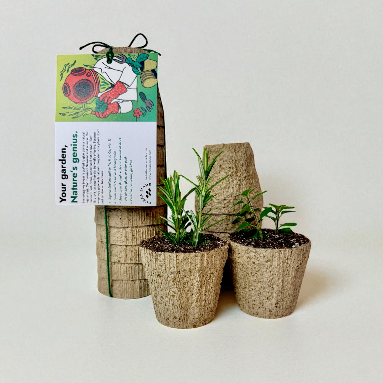 Ocean Made Kelp Pots | 3" Round