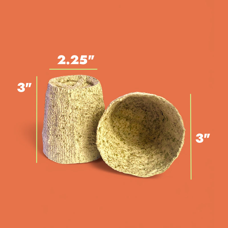 Ocean Made Kelp Pots | 3" Round